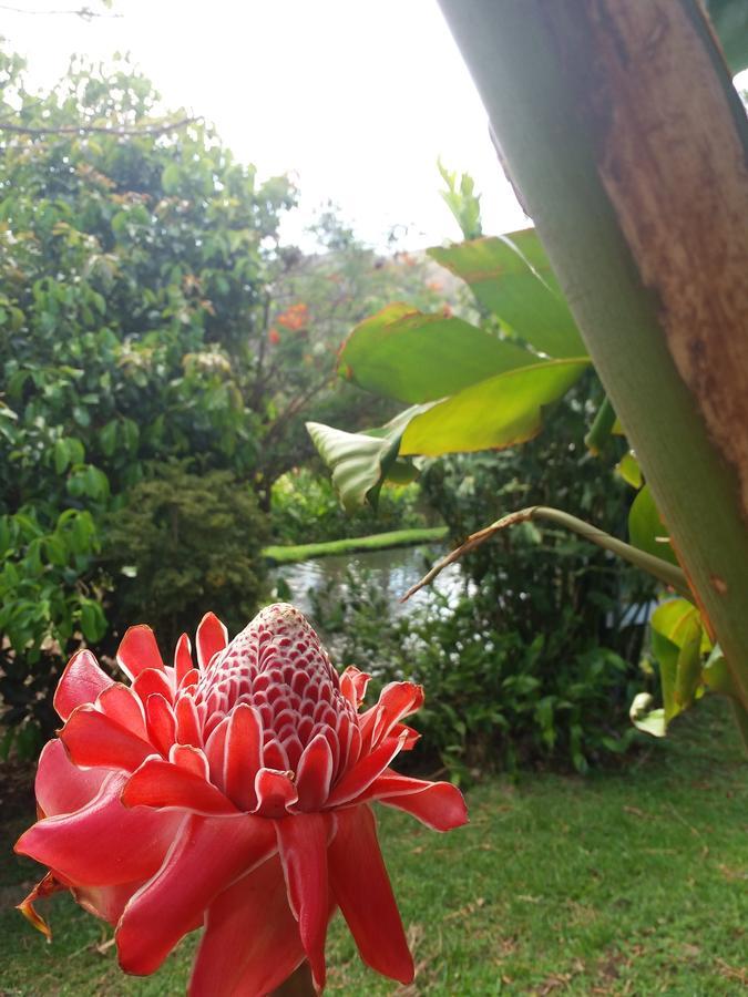 Rancho De Lelo Ecolodge Monteverde Bagian luar foto