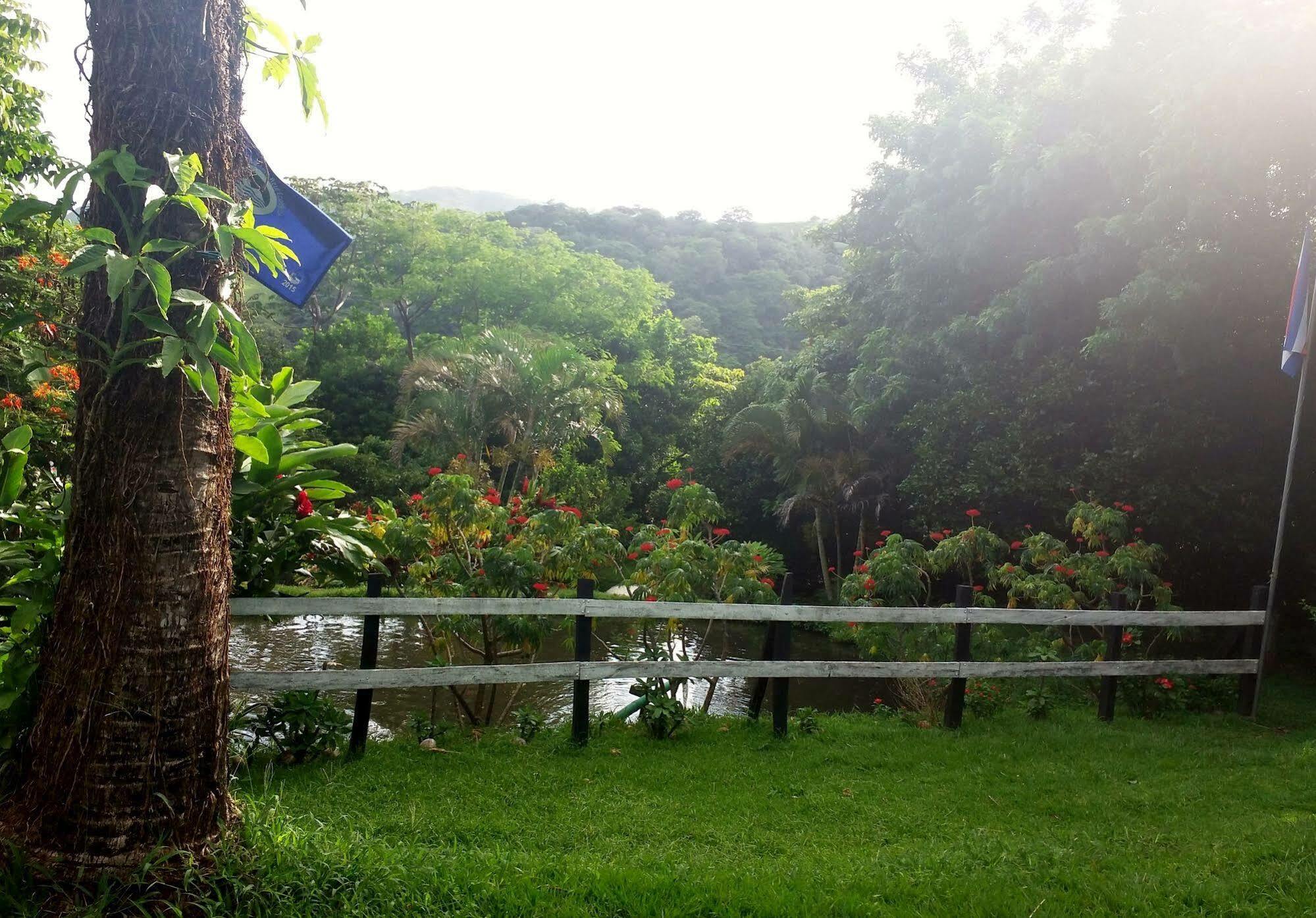Rancho De Lelo Ecolodge Monteverde Bagian luar foto