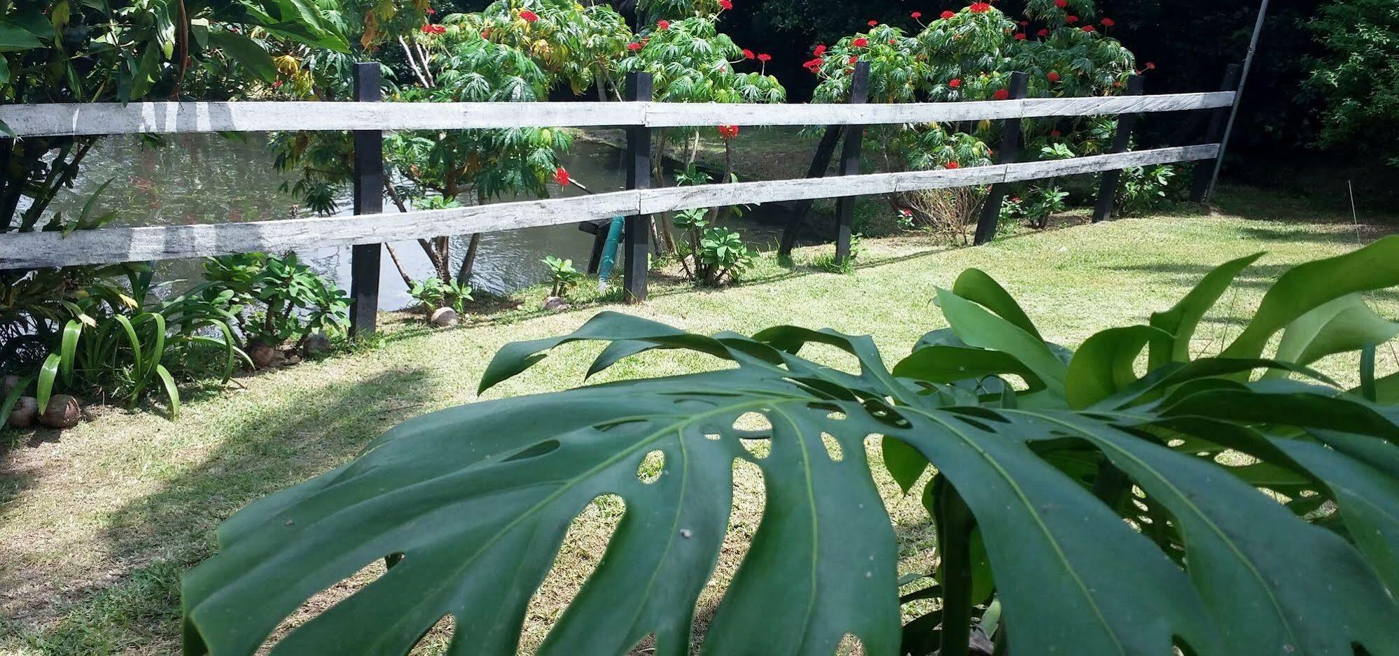 Rancho De Lelo Ecolodge Monteverde Bagian luar foto