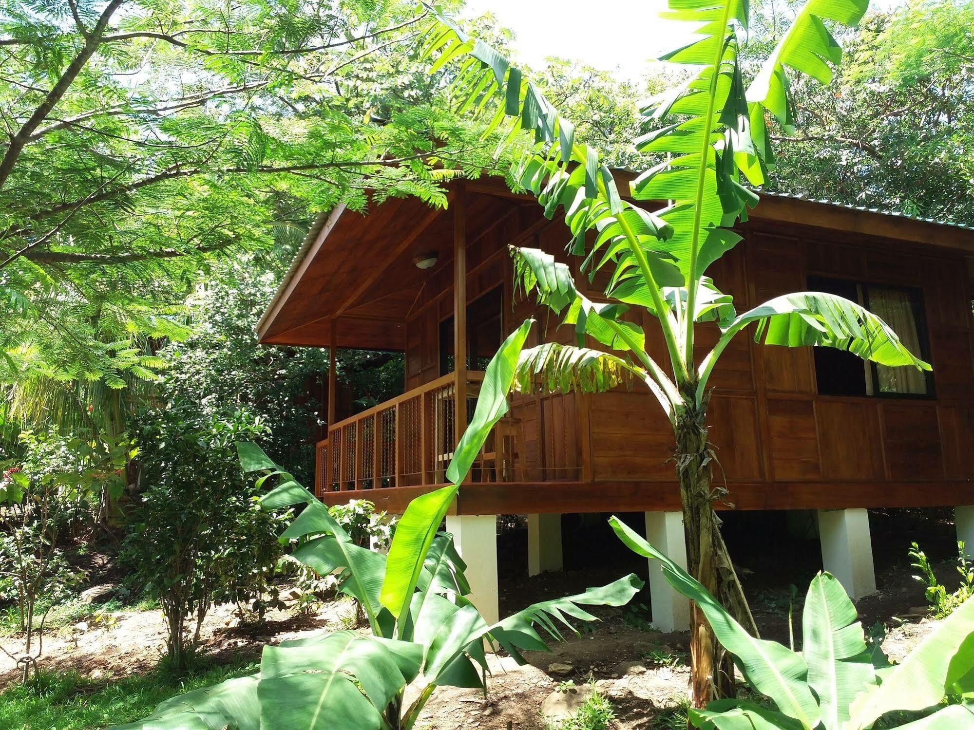 Rancho De Lelo Ecolodge Monteverde Bagian luar foto