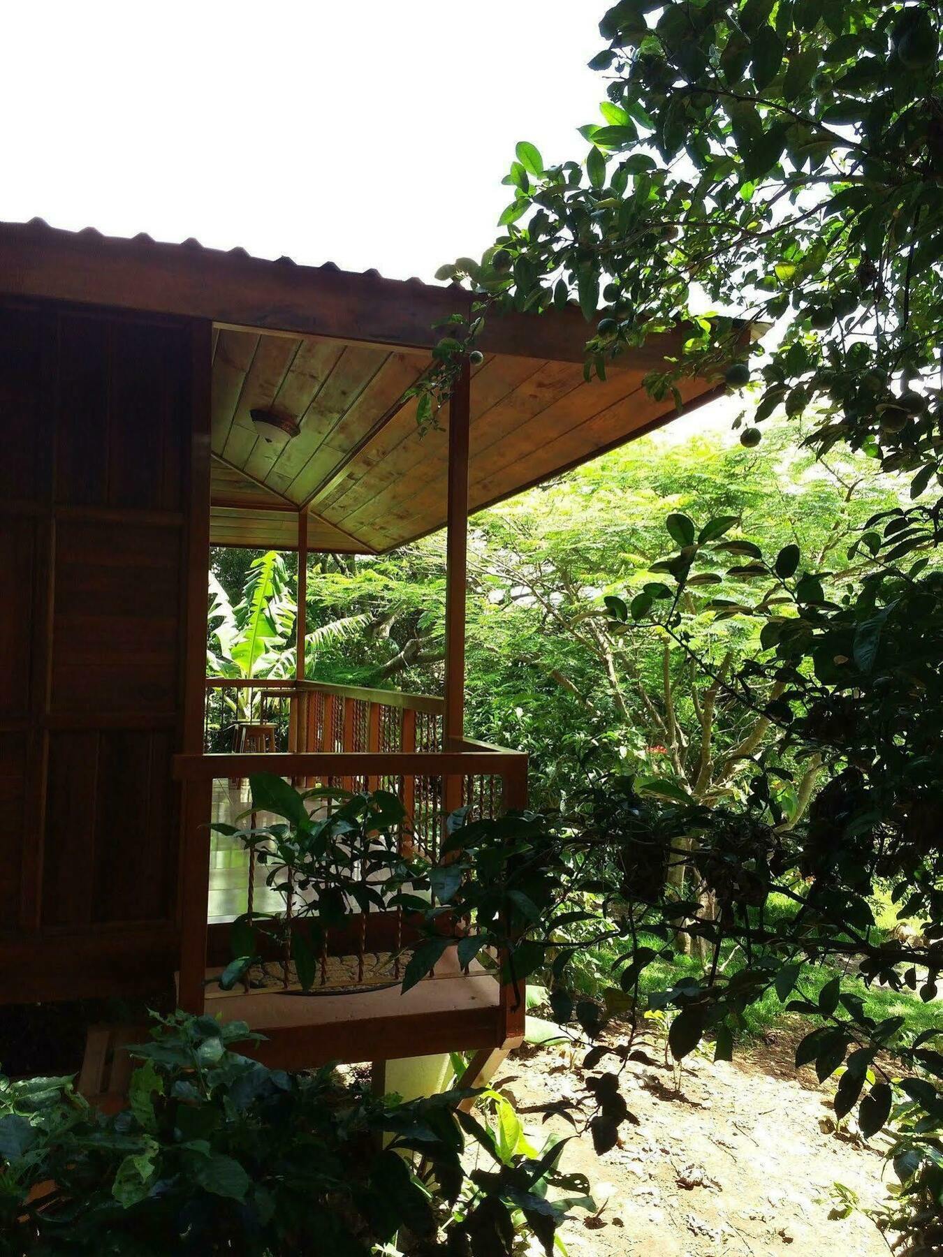 Rancho De Lelo Ecolodge Monteverde Bagian luar foto