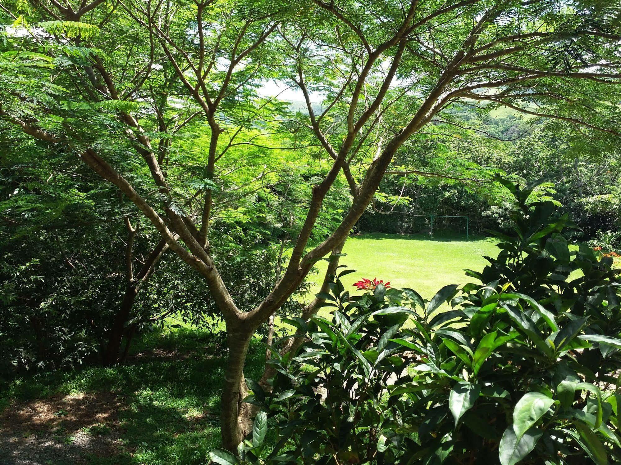 Rancho De Lelo Ecolodge Monteverde Bagian luar foto