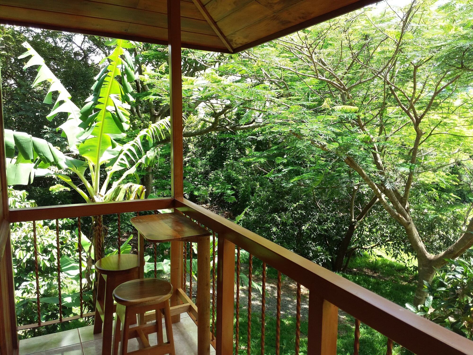 Rancho De Lelo Ecolodge Monteverde Bagian luar foto